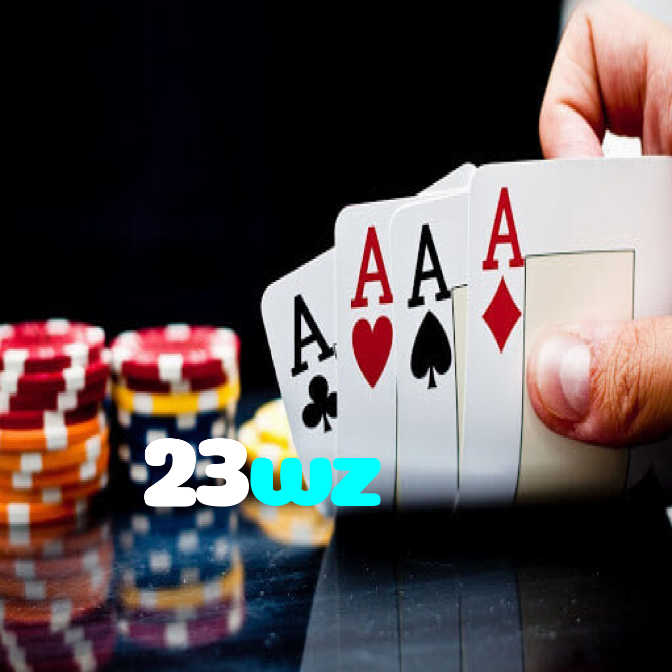 23wz