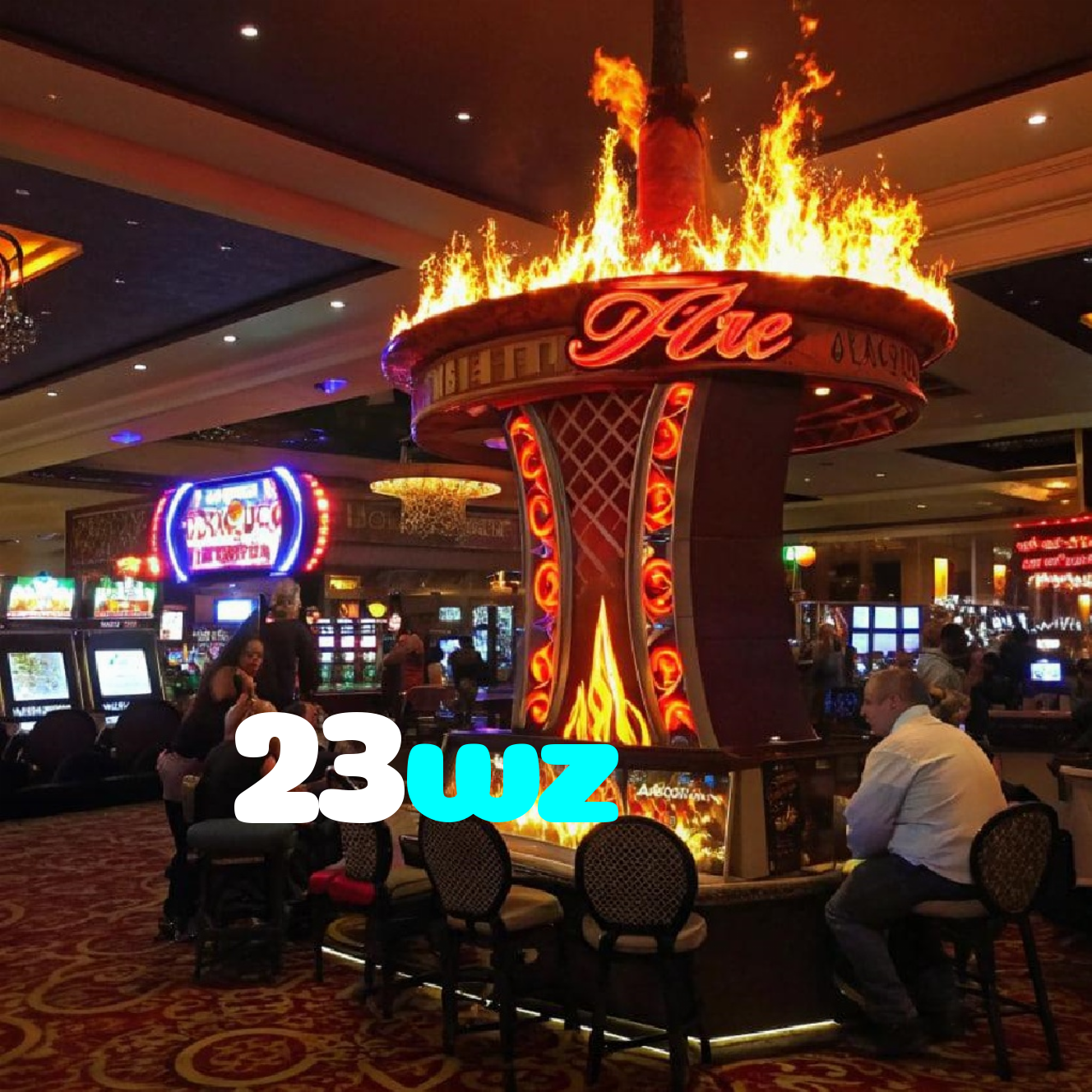23wz