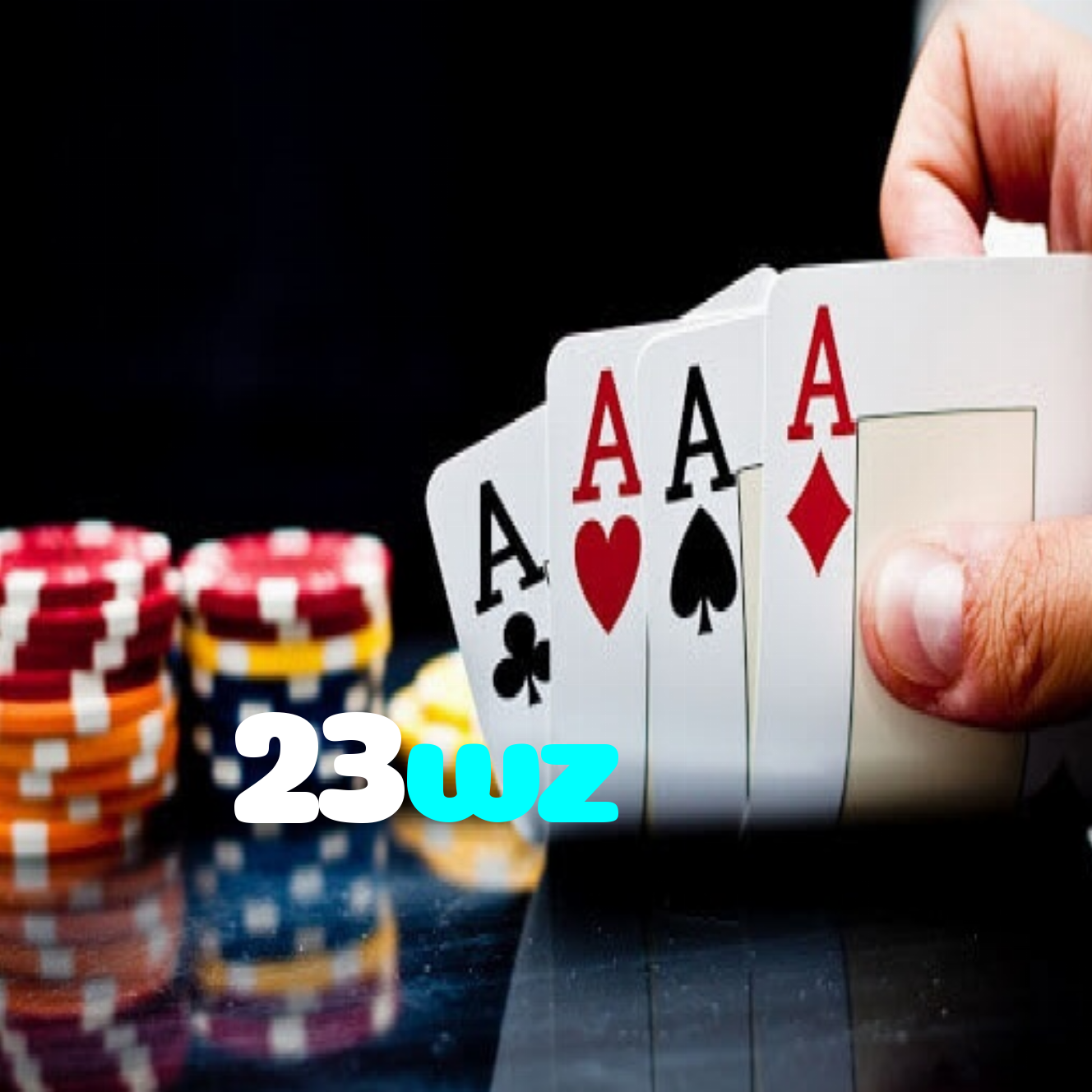 23wz